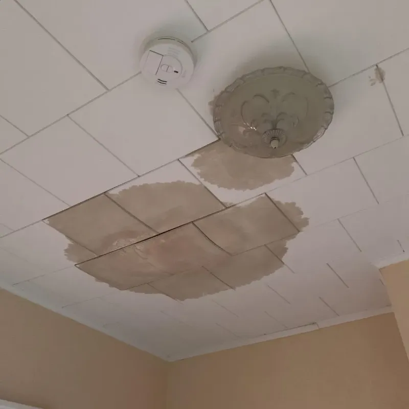 Ceiling Water Damage Repair in Escatawpa, MS